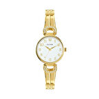 CLYDA CLA816DWD Kadın Kol Saati