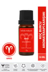 Bade Natural Koç Burcu Aromaterapi Karışımı 10 ml