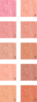 IMPALA Allık Pembe İnci- Blush on  No: 2