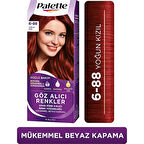 Palette Göz Alıcı Renkler 6/88 Yoğun Kızılı