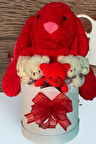 Özel Kutuda, Aşk Temalı Peluş Hediye Kutusu – Kırmızı Jellycat Tavşan & 5 Mini Ayıcık (Özel Tasarım)