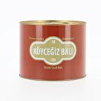 Köyceğiz Balı Çiçek Balı 2850 G Teneke