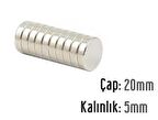 NEODYUM MIKNATIS 20X5 MM 10 ADET