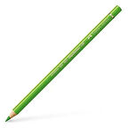 Faber Castell Polychromos Grass Green Pencil 166