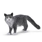 Schleich Maine Coon Kedi - 13893