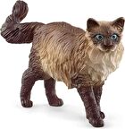ToysAll Schleich Ragdoll Kedi 13940
