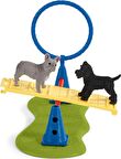 Schleich Köpek Eğitim Seti 42536