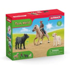 Schleich At Biniş Macerası 42578
