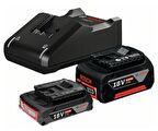 GAL 18v-40 + 18V 2,0Ah + 4,0Ah