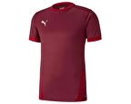 Puma Teamgoal 23 Jersey Erkek Futbol Forması 70417109 Siyah