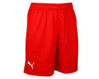 Puma Turkey Practice Short Erkek Türkiye Basketbol 60547202 Kırmızı