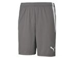 Puma Teamliga Shorts Erkek Futbol Şortu 70492413 Gri