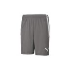 Puma 704924 Şort Gri