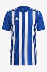 Adidas Striped 21 Jsy ADGH7321 Erkek Forma
