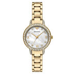 Emporio Armani AR11652 Kadın Kol Saati