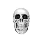 Diesel DJDX1580-040 Erkek Küpe