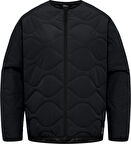 Jack Wolfskin A60173-6502 Wandersome Ins W Kadın Oudoor Mont