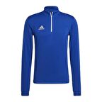 Adidas HG6286 Ent22 Tr Top Erkek Sweatshirt