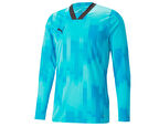 Puma Teamtarget Gk Ls Jersey Erkek Kaleci Forması 70564602 Mavi