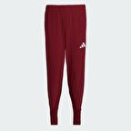 adidas JH0784 TURKIYE P PNT M Erkek Tek Alt