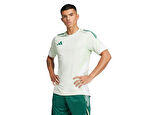 adidas Tiro25C Tr Jsy Erkek Futbol Antrenman Forması JC7042 Renkli