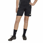 Adidas Çocuk Şort Tiro 25C Training