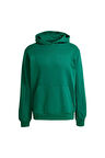 adidas Erkek  Yeşil  HOODY PRE - LOVED HDY JC8352