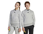 adidas J Smi Hoodie Çocuk Günlük Sweatshirts JD3288 Gri