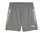 Puma Teamcup Training Shorts Erkek Futbol Kamp Şortu 65917113 Gri