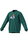 adidas  Erkek Yeşil  Sweatshirt SNOW CREW KE2319