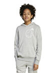 adidas Baskılı Erkek Çocuk Gri Sweatshırt JN2162 J SMI HOODIE