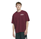 JW6645-E adidas Asd Otb Tee Erkek T-Shirt Bordo