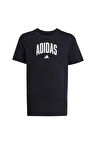 adidas Çocuk   T-shirt J COLLEG T JV5192