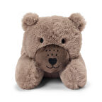 Peluş Oyuncak, Ayı