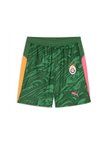 Galatasaray Puma 2025/2026 Kaleci Yeşil Şort 78074480