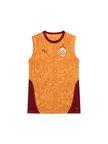 Galatasaray Puma A Takım Antrenman Atlet 78288606