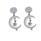 BZ 316L Çelik Ay Yıldız Sallantılı Küpe UNK-661