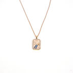 Çelik Kolye Kova Burcu Kolyesi - K-114