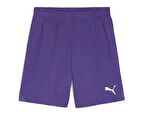 Puma Teamgoal Shorts Erkek Futbol Antrenman Şortu 70575210 Mor