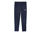 Puma Teamgoal Training Pant Erkek Futbol Antrenman Eşofman Altı 65863906 Lacivert