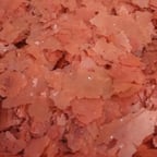 Dajana Tropical Artemia Flakes 100 Gr