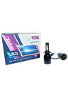 H4 Led Xenon Oto Ampulü Duo