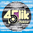 Karışık Sanatçılar 45 lik Plaklar - 2 Plak