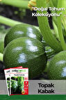 30 Adet Topak Kabak Tohumu