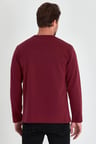 Erkek Bordo Çift Bisiklet Yaka Standart Rahat Kesim Sweatshirt MTLCE68-BORDO