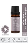 Bade Natural Oğlak Burcu Aromaterapi Karışımı 10 ml