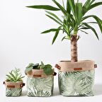 Palm Serisi Green 3lü Kumaş Organizer&Saksı Kılıfı Seti