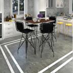 Knsz masa sandalye takımı hem105zengin cvzsyh 100*070 4 sandalye syhsyh sırt minderli