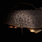 Hakiki Deri, El Yapımı Kadın Çanta, Kadın Cüzdan Larissa v81