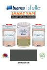 Stella 10-12 M2 Boyama Seti ( 1Lt Boya+ 1Lt Maximo Parlak )